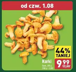 ALDI Kurki oferta