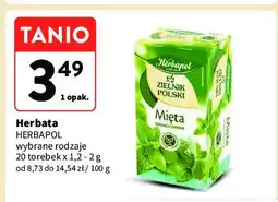 Intermarche Herbatka mięta Herbapol zielnik polski oferta