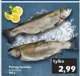 Kaufland Pstrąg tęczowy patroszony oferta