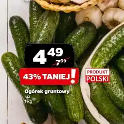 Netto Ogórek gruntowy polska oferta