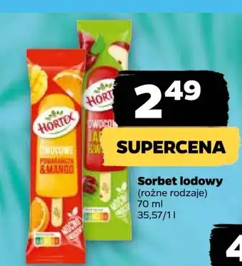Netto Lody pomarańcza-mango Hortex oferta