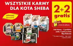 Biedronka Karma dka kota wołowina-biała ryba Sheba Fresh Cuisine oferta