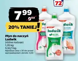 Netto Płyn do mycia naczyń miętowy Ludwik oferta