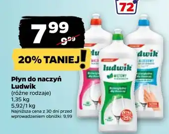 Netto Płyn do mycia naczyń miętowy Ludwik oferta