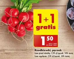 Biedronka Rzodkiewka oferta