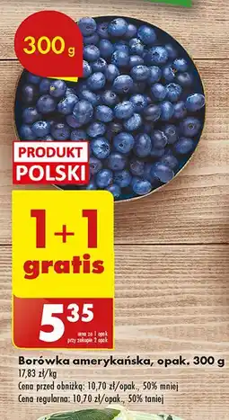Biedronka Borówka amerykańska 300g oferta