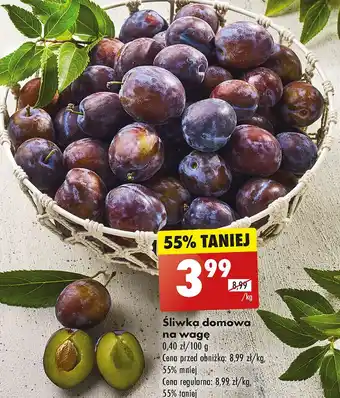 Biedronka Śliwka oferta