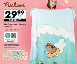 Koc flanelowy pusheen 130 x 160 cm