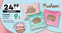 Biedronka Poduszka 40 x cm pusheen oferta