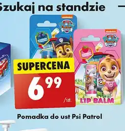 Biedronka Pomadka do ust psi patrol blueberry oferta