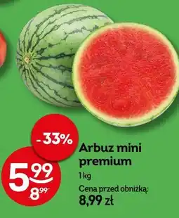 Żabka Arbuz mini premium oferta