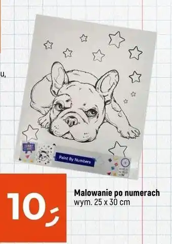 Dealz Malowanie po numerach oferta
