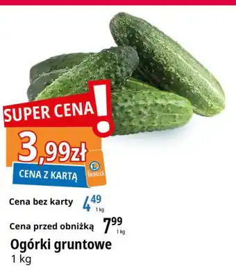 E.Leclerc Ogórek gruntowy oferta