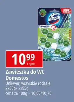 E.Leclerc Kostka do wc pine Domestos Power5 oferta