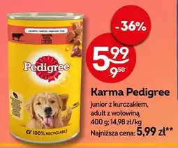 Żabka Karma Pedigree oferta