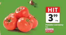 Intermarche Pomidory polskie oferta