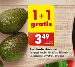 Biedronka Awokado hass oferta