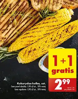 Biedronka Kukurydza w kolbach oferta