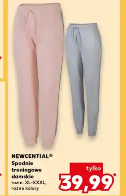 Kaufland Spodnie damskie Newcential oferta