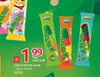 Selgros Lody Kaktus oferta