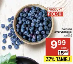 Borówki amerykańskie