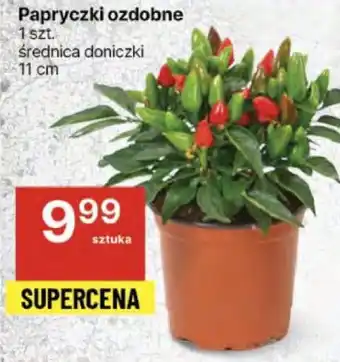 Delikatesy Centrum Papryczki ozdobne oferta