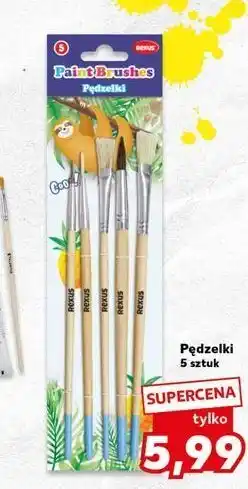 Pędzelki Rexus