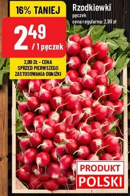 Rzodkiewki