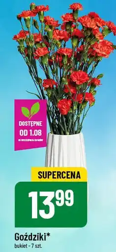 Polomarket Goździki oferta