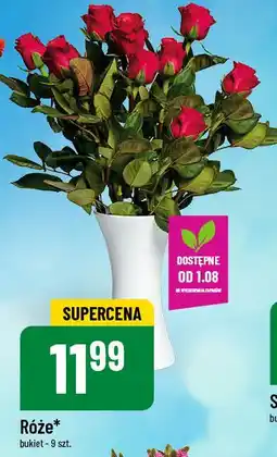 Polomarket Róże oferta