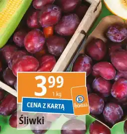 E.Leclerc Śliwki oferta