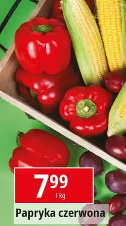 E.Leclerc Papryka czerwona oferta