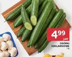 Stokrotka OGÓRKI SZKLARNIOWE 1 kg oferta
