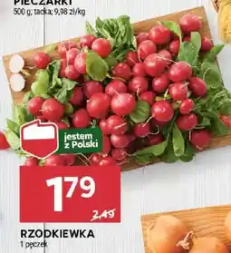 RZODKIEWKA
