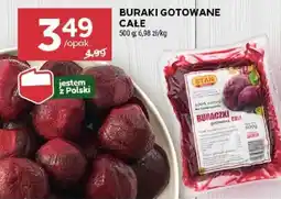 Stokrotka BURAKI GOTOWANE CALE oferta