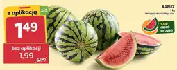 Stokrotka ARBUZ 1 kg oferta