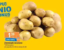E.Leclerc Ziemniaki wczesne oferta