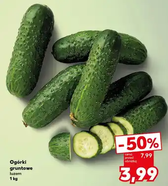 Kaufland Ogórki oferta