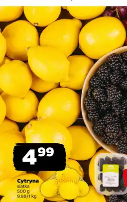 Netto Cytryna oferta