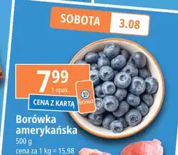 E.Leclerc Borówka amerykańska oferta