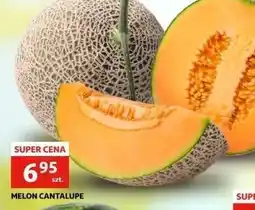 Auchan Melon cantaloupe oferta