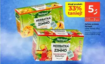 Dealz Herbata na zimno Herbapol 36g oferta