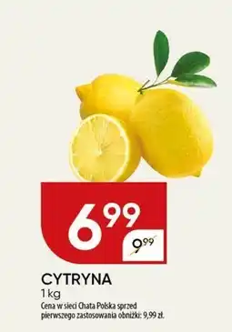Chata Polska Cytryna Chata polska oferta