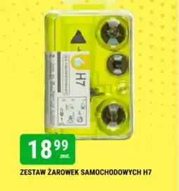 bi1 Zestaw żarówek samochodowych oferta