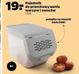 Netto Pojemnik do przechowywania oferta