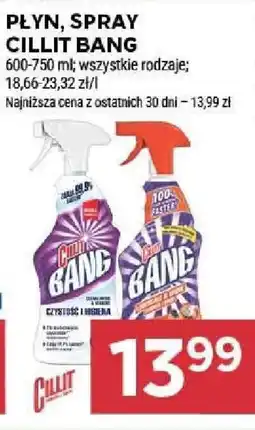 Stokrotka PŁYN, SPRAY CILLIT BANG 600-750 ml oferta