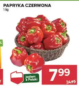 Stokrotka PAPRYKA CZERWONA 1 kg oferta