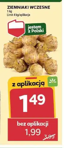 Stokrotka ZIEMNIAKI WCZESNE 1 kg oferta