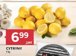 Stokrotka CYTRYNY 1 kg oferta