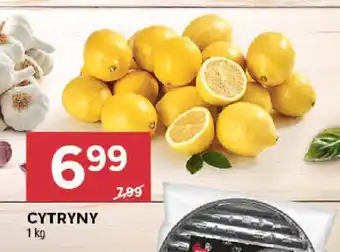 Stokrotka CYTRYNY 1 kg oferta